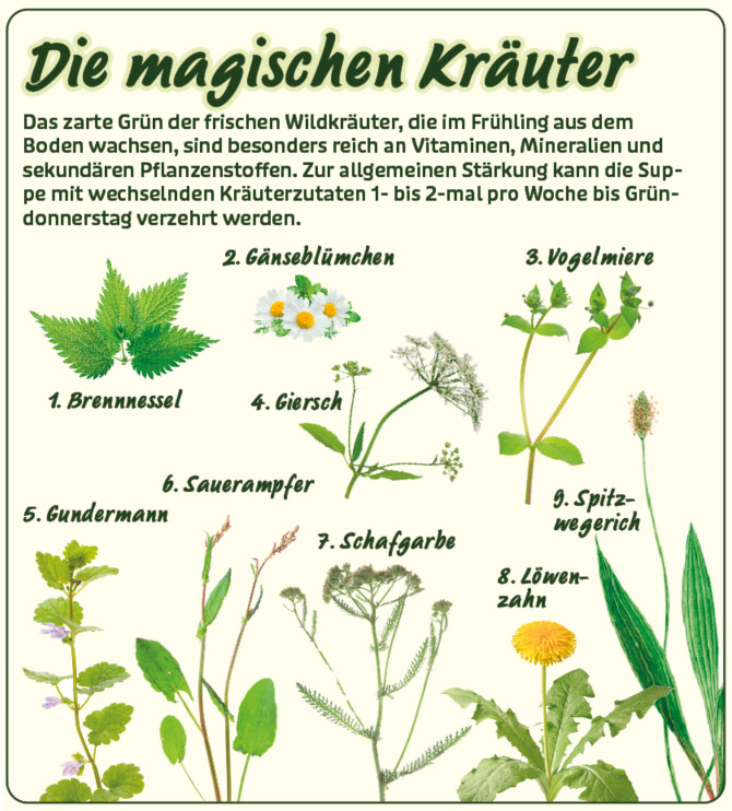 Magische Kräuter wie Brennnessel, Gänseblümchen, Vogelmiere, Giersch, Sauerampfer, Gundermann, Schafgarbe, Löwenzahl und Spitzwegerich