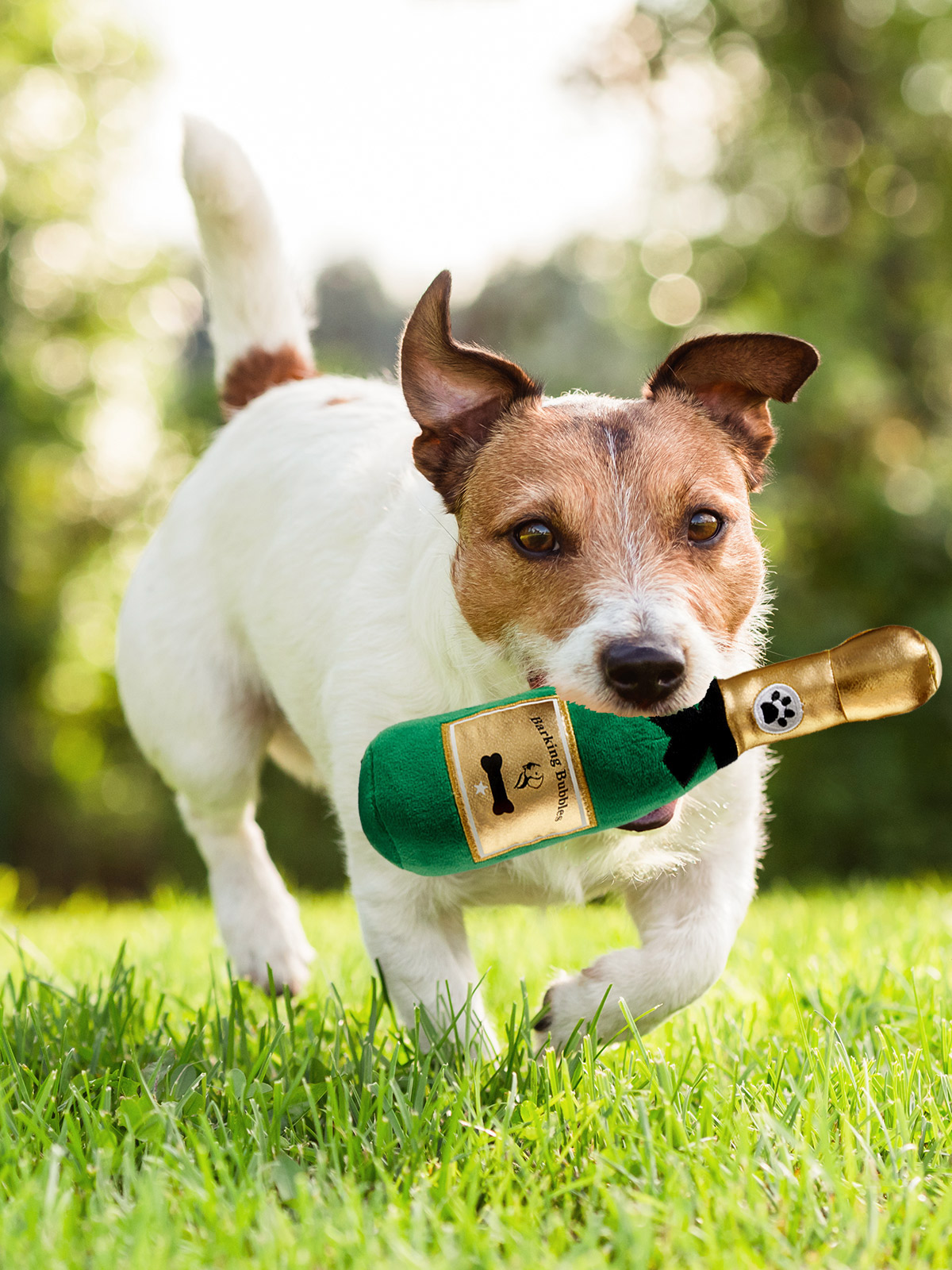 Hundespielzeug „Champagnerflaschen-Duo“