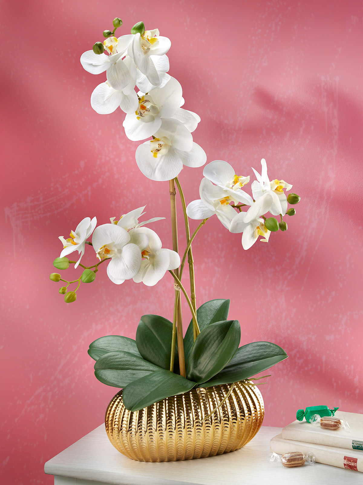 Orchidee in Keramikschale
