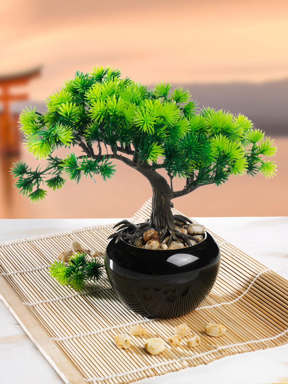 Bonsai „Lärche“